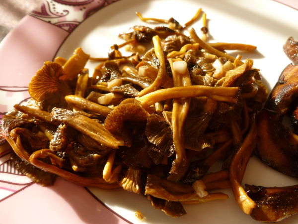 20151025chanterelles.jpg